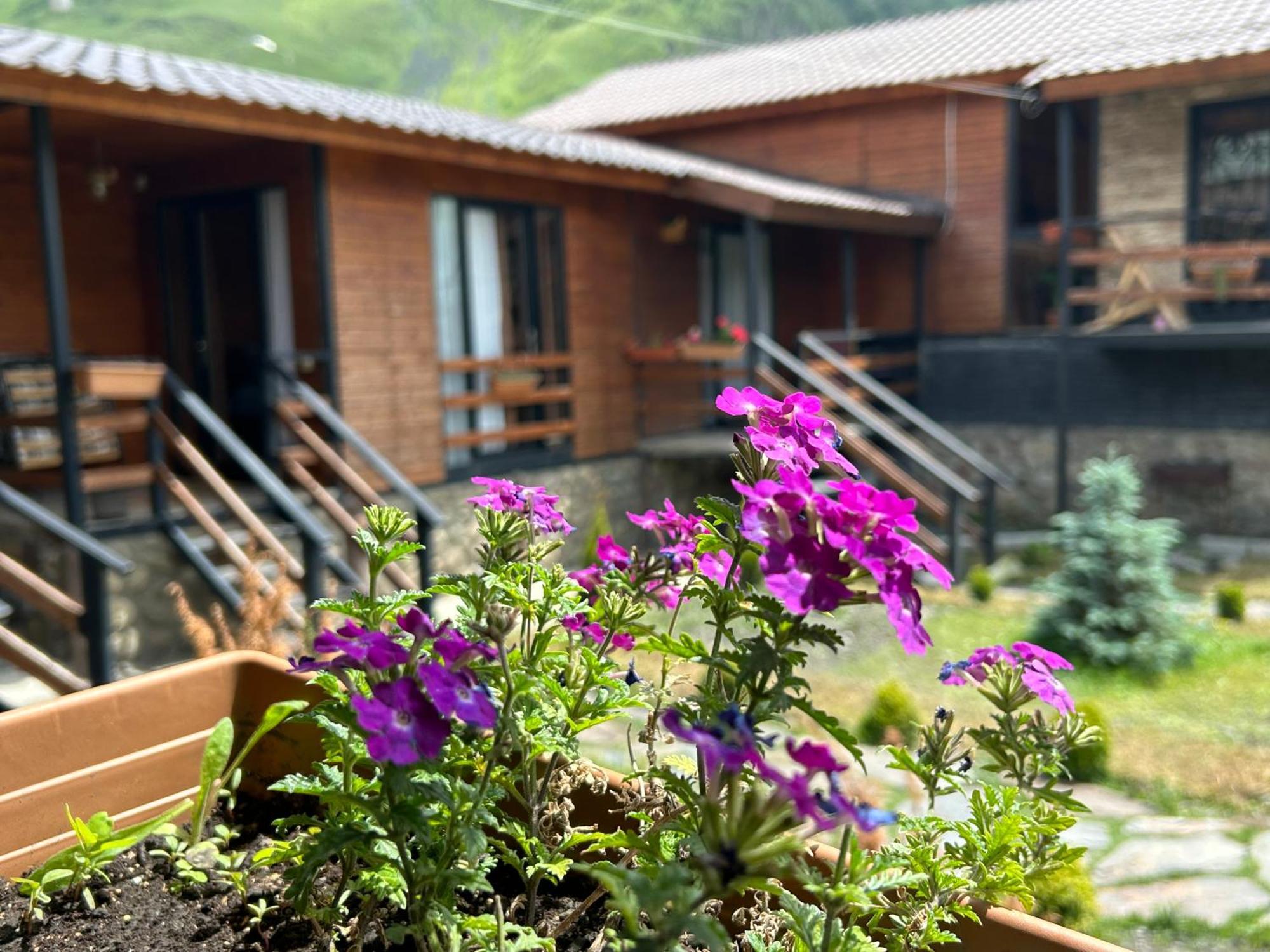 Panorama Cottages Казбеги Экстерьер фото